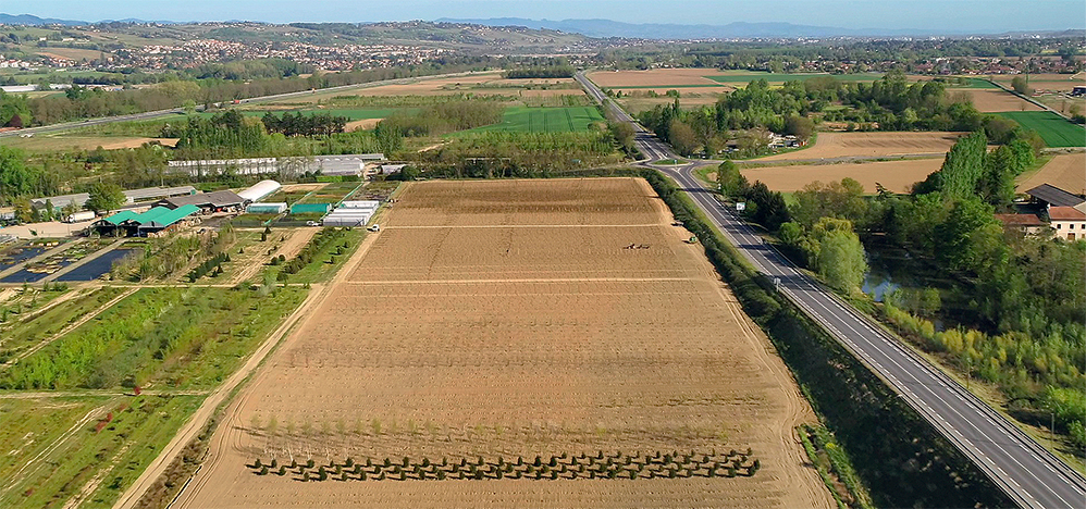 pépinière locale imbert lyon