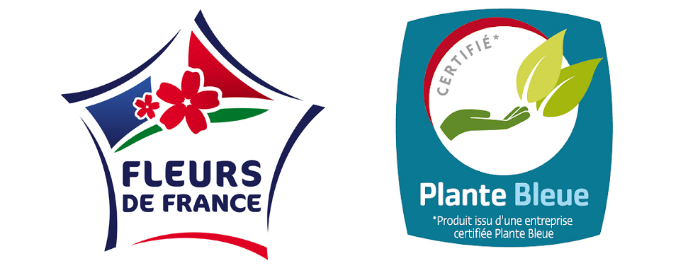 logos plantes bleues fleurs de france