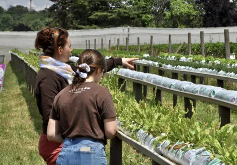 apprentissage à la ferme de gally